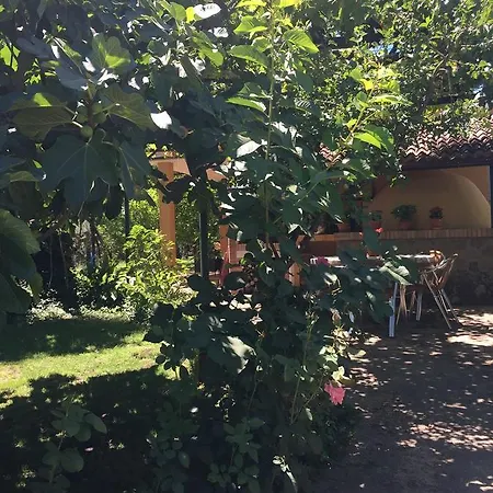Olivas Candeleda